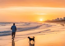 cuidando de animais de estimação em João Pessoa