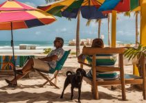 inverno, pet, veterinário, joão pessoa, veterinário em joão pessoa